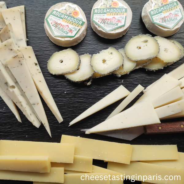 Cheeses and foods autorized to bring in the US, Europe, Canada, Australia